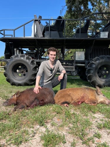 Do It Yourself Hog Hunts In Okeechobee