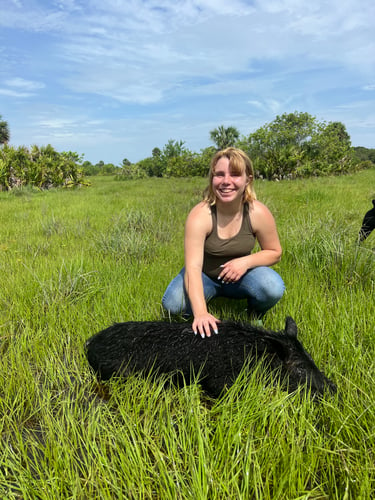 Do It Yourself Hog Hunts In Okeechobee