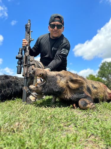 Do It Yourself Hog Hunts In Okeechobee