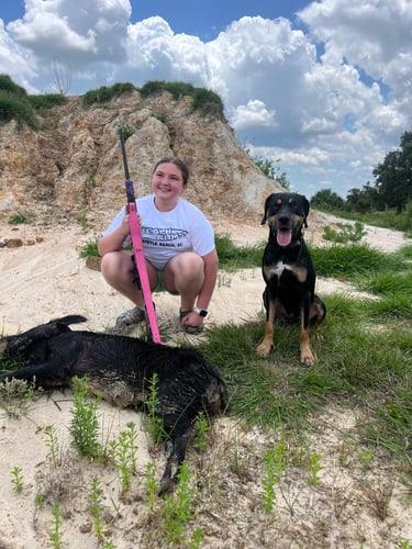 Do It Yourself Hog Hunts In Okeechobee