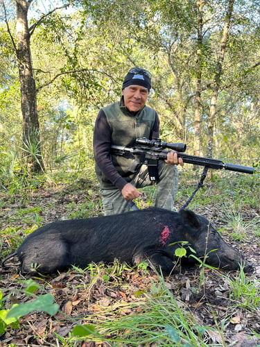 Do It Yourself Hog Hunts In Okeechobee