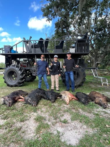 Do It Yourself Hog Hunts In Okeechobee