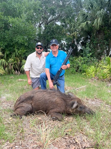 Do It Yourself Hog Hunts In Okeechobee