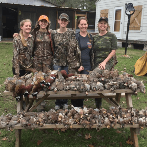 Upland Birds Combo Hunt In Gilmer