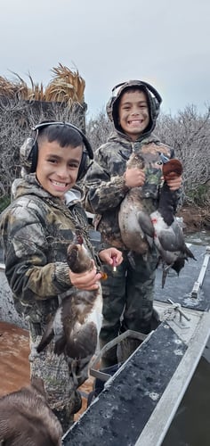 Semi Guided Duck Hunts In Aransas Pass