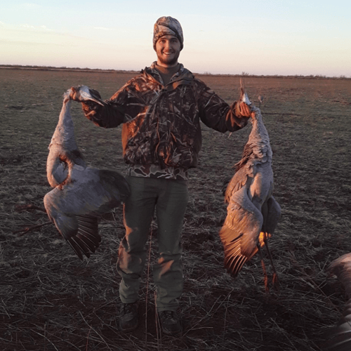 2 Day+ Sandhill Crane With Lodging In Abilene