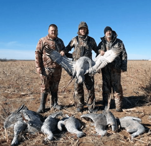 2 Day+ Sandhill Crane With Lodging In Abilene