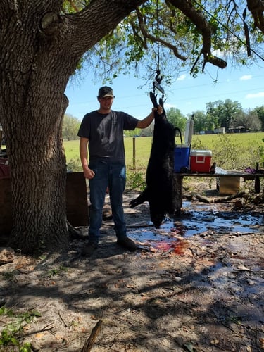 Wild Boar Hunting Adventure In Green Pond