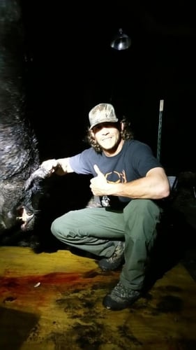 Wild Boar Hunting Adventure In Green Pond