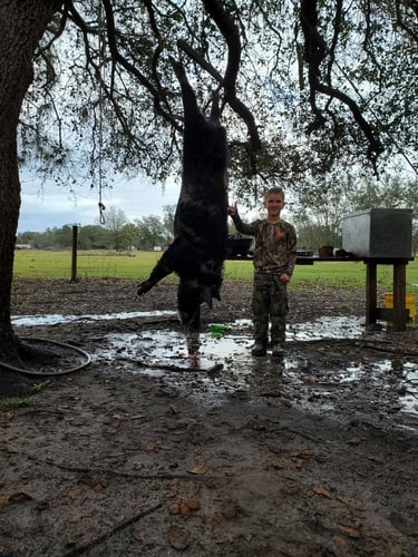 Wild Boar Hunting Adventure In Green Pond