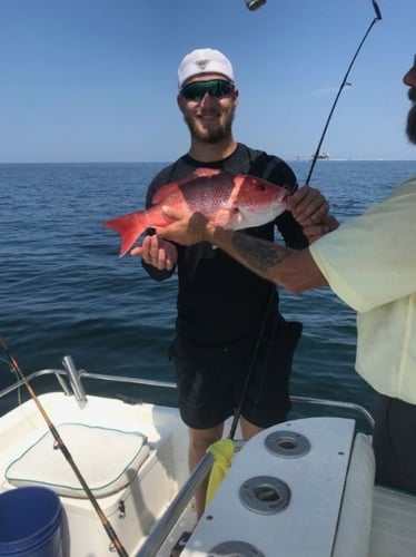 Gulf Shores Snapper Special In Gulf Shores