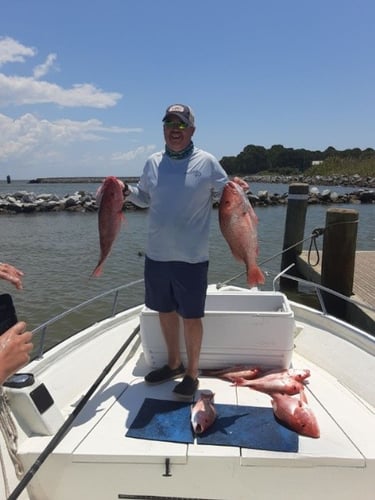 Gulf Shores Snapper Special In Gulf Shores