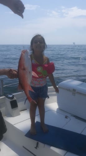 Gulf Shores Snapper Special In Gulf Shores