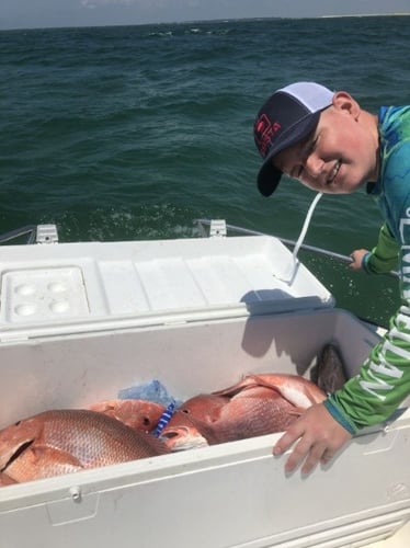 Gulf Shores Snapper Special In Gulf Shores