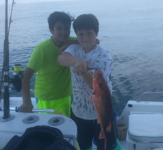 Gulf Shores Snapper Special In Gulf Shores