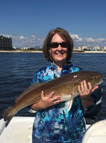 Hook-Up Heaven: Orange Beach Inshore In Orange Beach