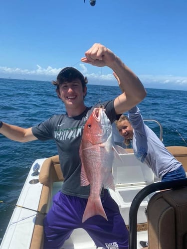 Red Snapper Run - 25' Sea Hunt In Orange Beach