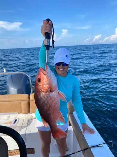 Red Snapper Run - 25' Sea Hunt In Orange Beach