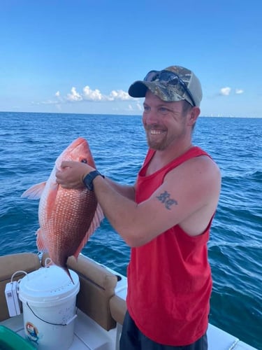 Red Snapper Run - 25' Sea Hunt In Orange Beach