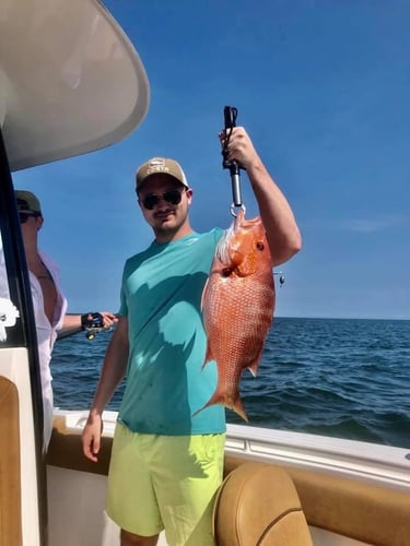 Red Snapper Run - 25' Sea Hunt In Orange Beach