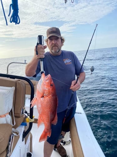 Red Snapper Run - 25' Sea Hunt In Orange Beach