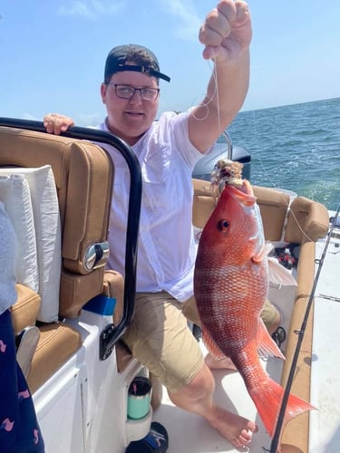 Red Snapper Run - 25' Sea Hunt In Orange Beach