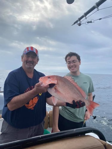 Red Snapper Run - 25' Sea Hunt In Orange Beach