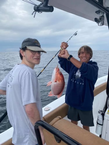 Red Snapper Run - 25' Sea Hunt In Orange Beach