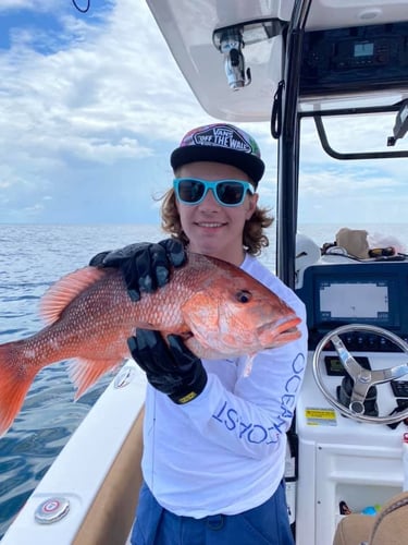 Red Snapper Run - 25' Sea Hunt In Orange Beach