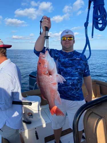 Red Snapper Run - 25' Sea Hunt In Orange Beach