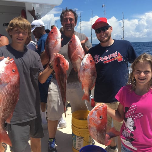 Red Snapper Run - 25' Sea Hunt In Orange Beach