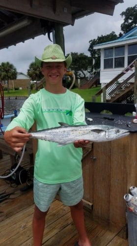 Alabama Shark Slam In Orange Beach