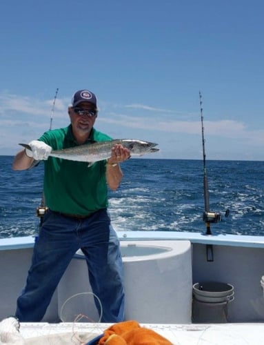 Alabama Shark Slam In Orange Beach