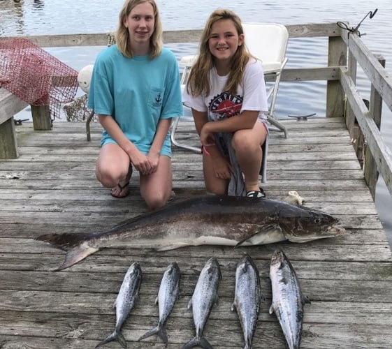 Alabama Shark Slam In Orange Beach