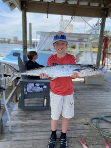 Alabama Shark Slam In Orange Beach