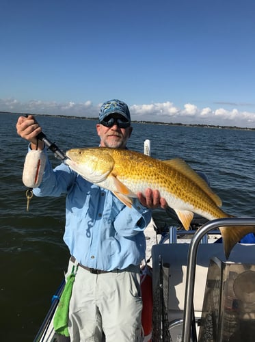 Texas "Big 3" Bay Assault In Texas City