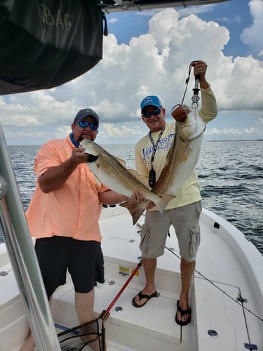 Texas "Big 3" Bay Assault In Texas City