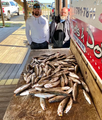 Catching New Orleans In New Orleans