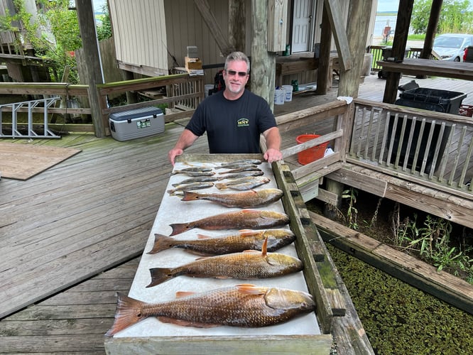 Catching New Orleans In New Orleans