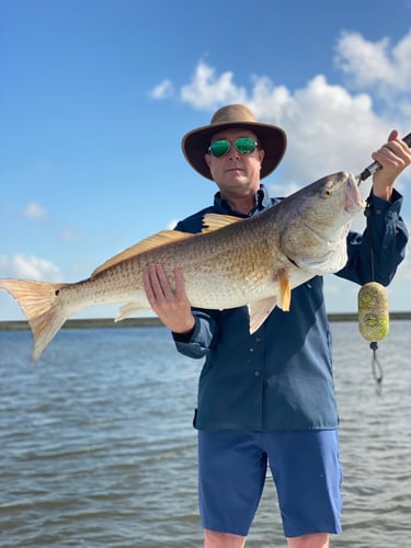 Catching New Orleans In New Orleans