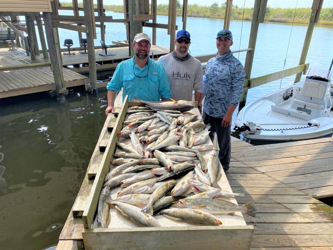 Catching New Orleans In New Orleans