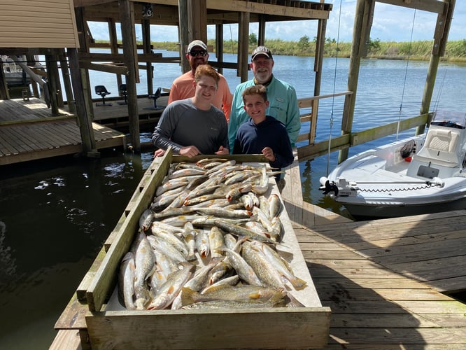 Catching New Orleans In New Orleans