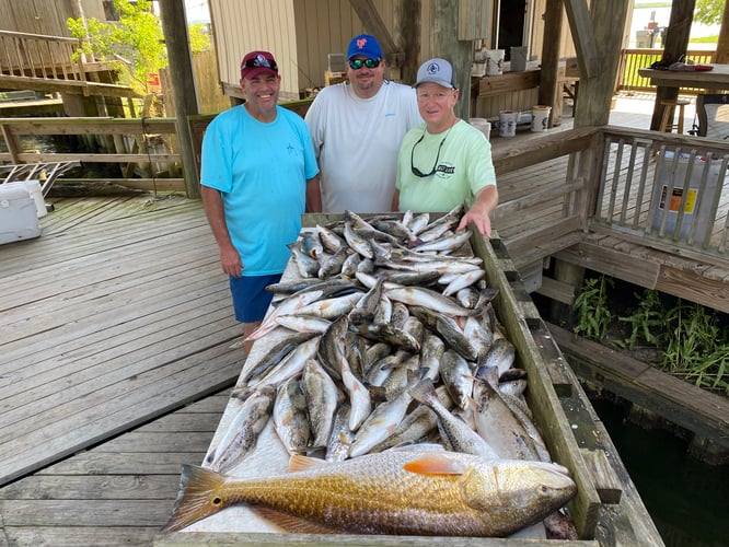 Catching New Orleans In New Orleans