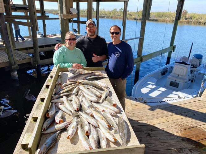 Catching New Orleans In New Orleans