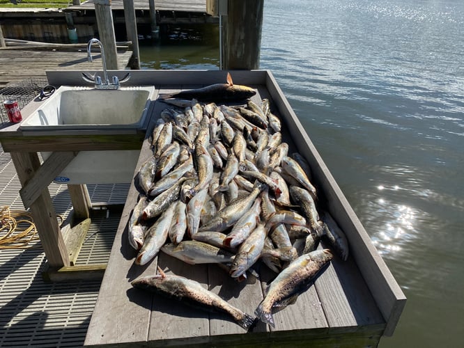 Catching New Orleans In New Orleans