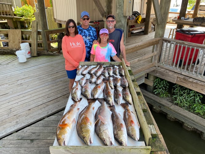 Catching New Orleans In New Orleans