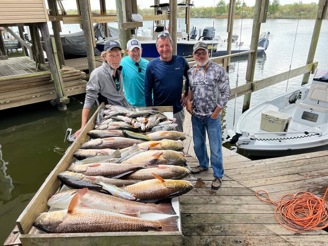 Catching New Orleans In New Orleans