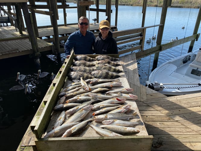 Catching New Orleans In New Orleans