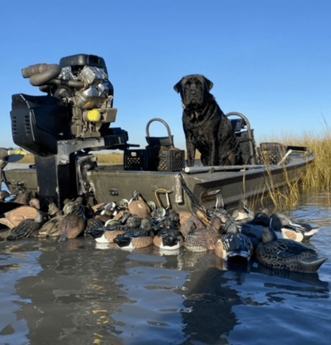 Panhandle Duck Hunts In Fort Walton Beach