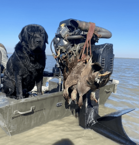 Panhandle Duck Hunts In Fort Walton Beach